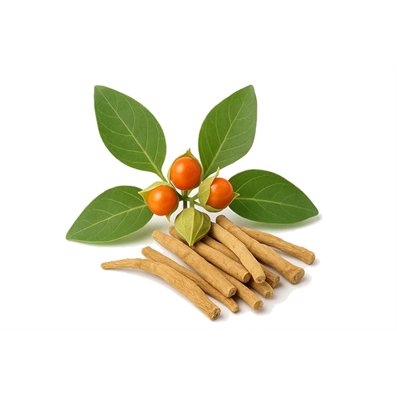 Ashwagandha root